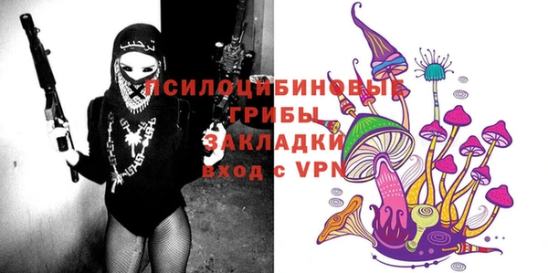 твердый Алексеевка