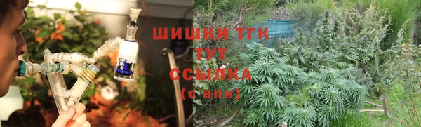 винт Арсеньев