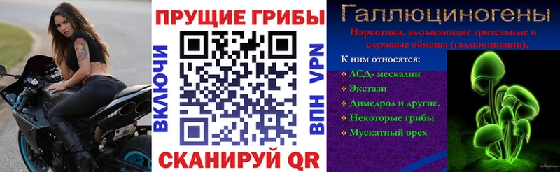 Галлюциногенные грибы GOLDEN TEACHER  Купить где  Туймазы 